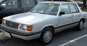 Plymouth Reliant 1989